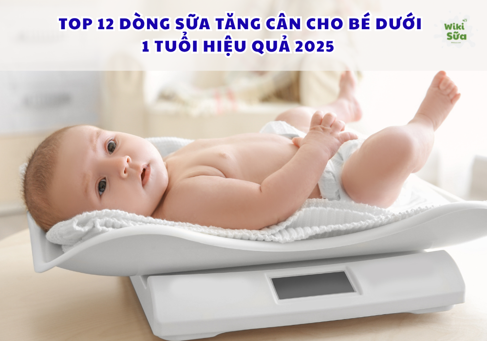 Top 12 đòng sữa bột tăng cân cho bé dưới 1 tuổi