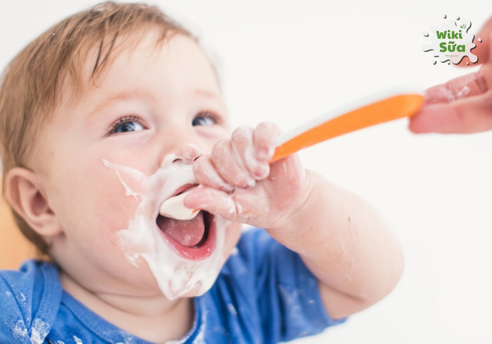 Các loại sữa chua dành cho trẻ dưới 1 tuổi 