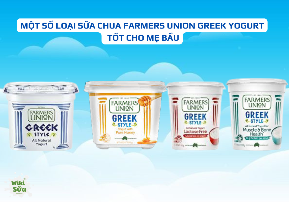 Một số loại sữa chua Farmers Union Greek Yogurt tốt cho mẹ bầu 
