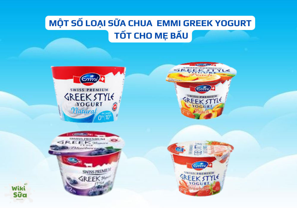 Một số loại sữa chua Emmi Greek Yogurtt tốt cho mẹ bầu 
