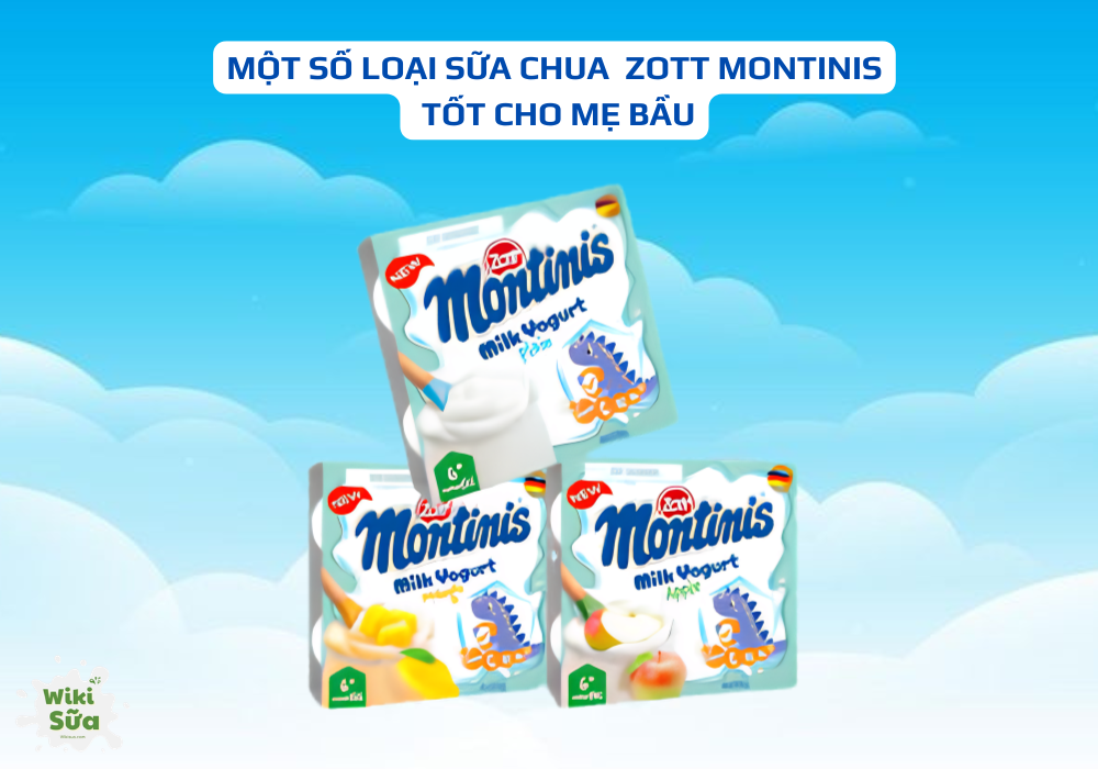Một số loại sữa chua Zott Montinis tốt cho mẹ bầu 
