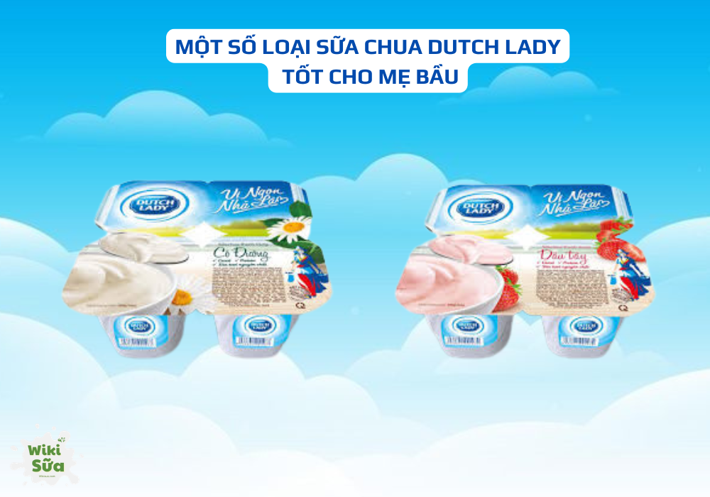 Một số loại sữa chua Dutch Lady tốt cho mẹ bầu 