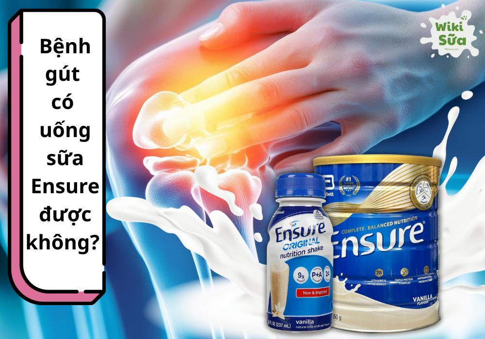 Hướng dẫn chi tiết cho người bệnh gút uống sữa Ensure