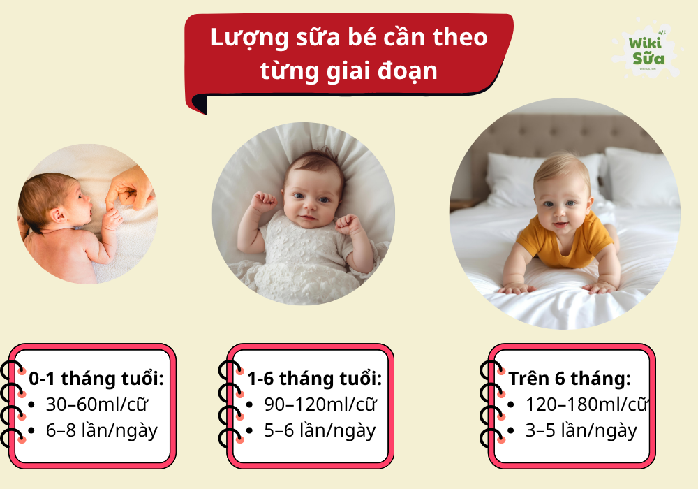 Lượng sữa bé cần theo từng giai đoạn