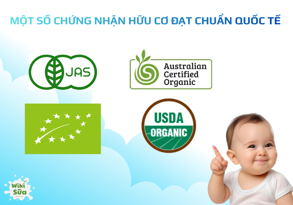Một số chứng nhận hữu cơ đạt chuẩn quốc tế