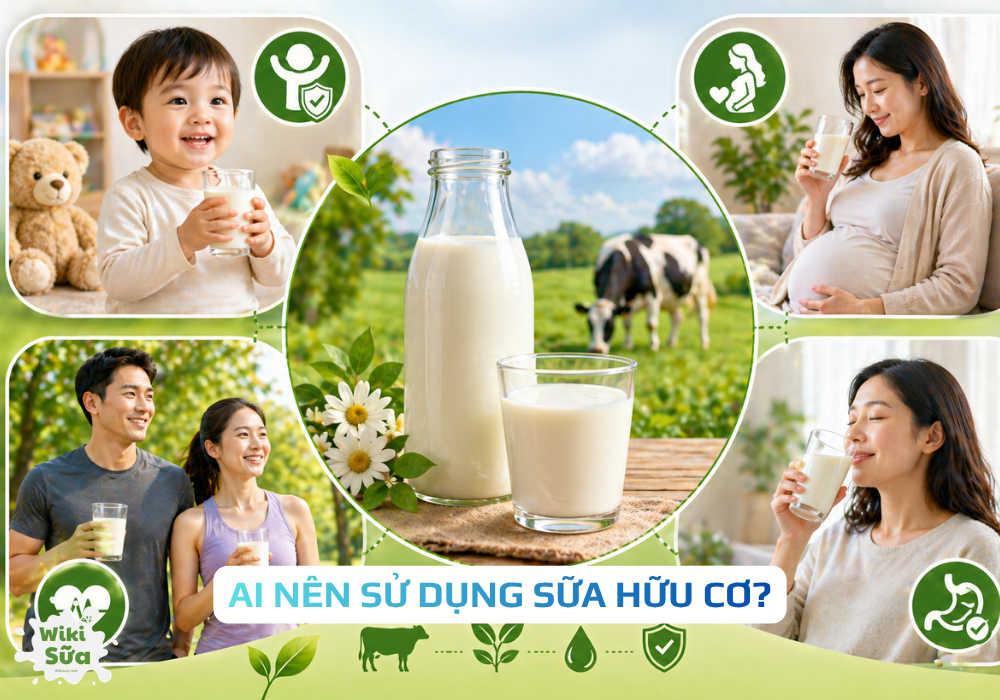Sữa hữu cơ phù hợp với nhiều đối tượng từ trẻ nhỏ đến người lớn, đặc biệt tốt cho hệ tiêu hóa và sức khỏe lâu dài.