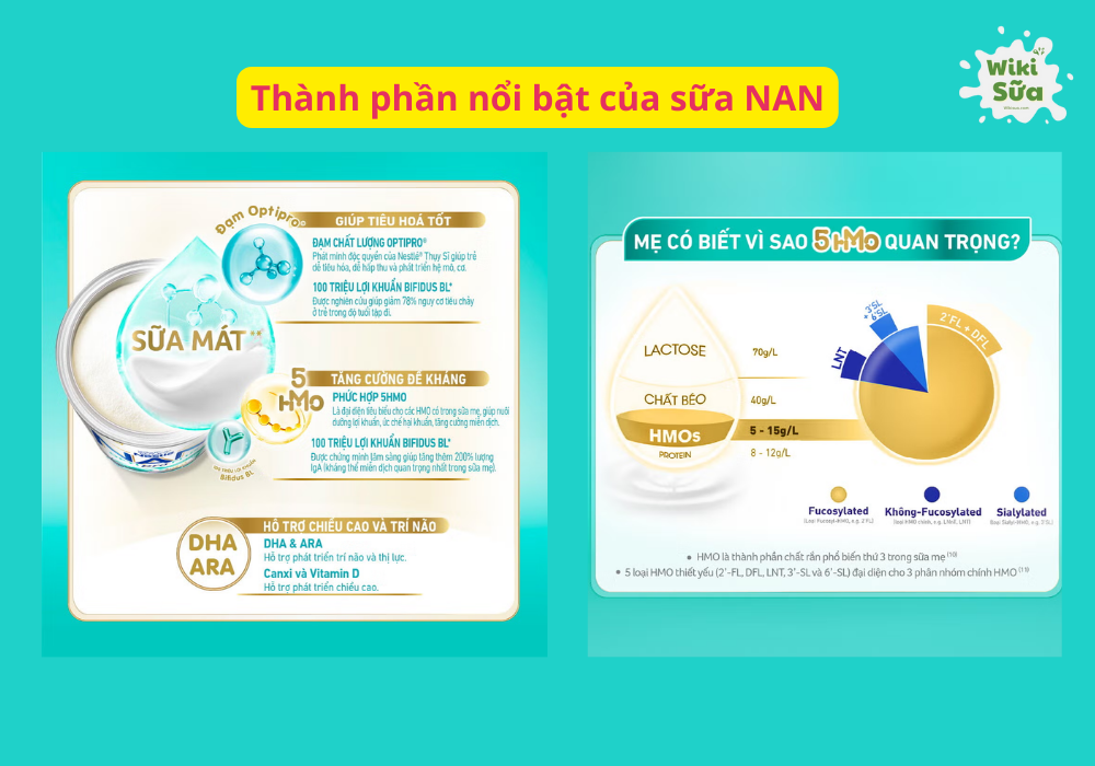 Dinh dưỡng nổi bật trong sữa NAN hỗ trợ phát triển toàn diện cho trẻ
