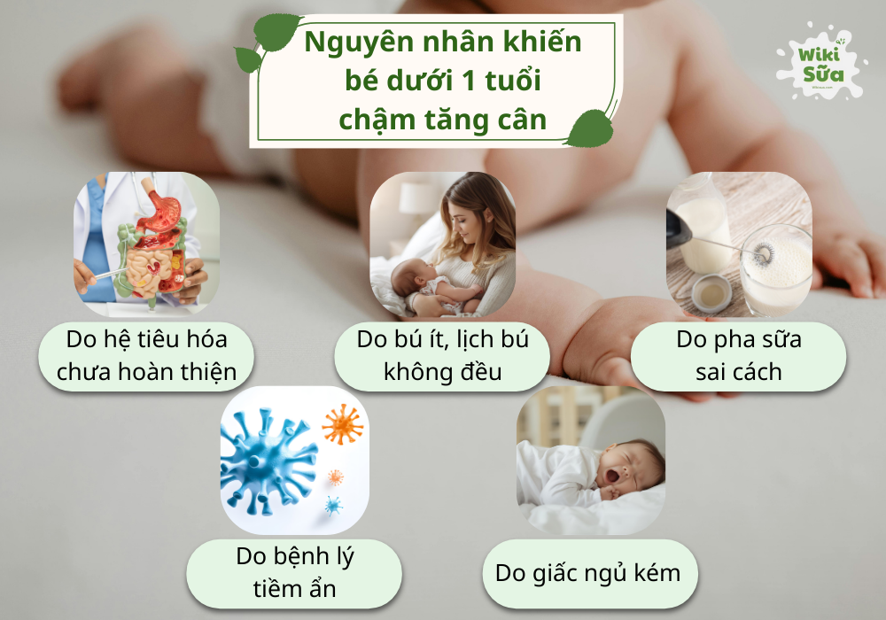 Nguyên nhân khiến bé dưới 1 tuổi chậm tăng cân