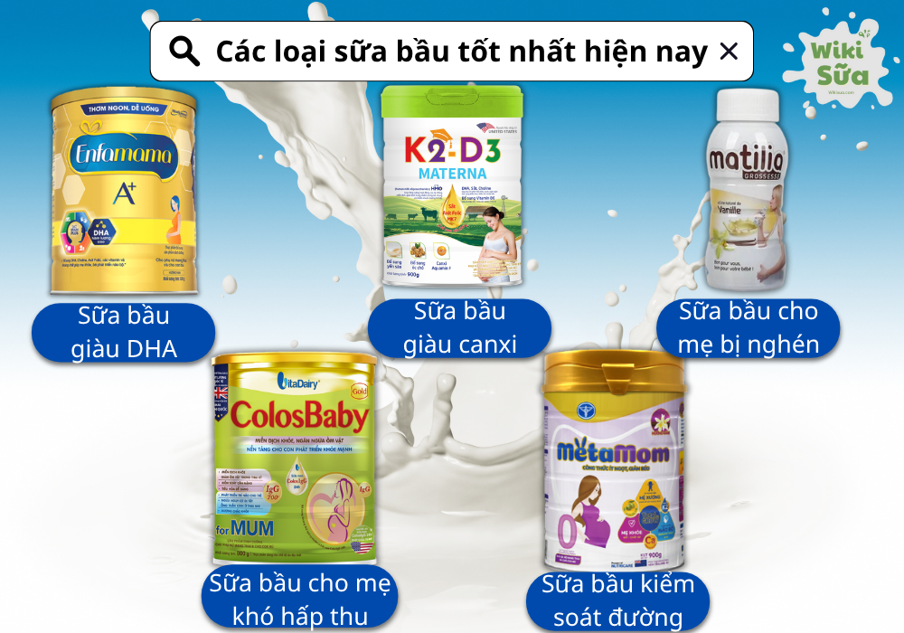 Các loại sữa bầu tốt nhất hiện nay