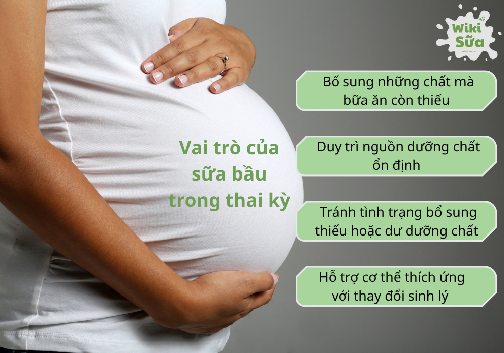 Vai trò của sữa bầu trong thai kỳ