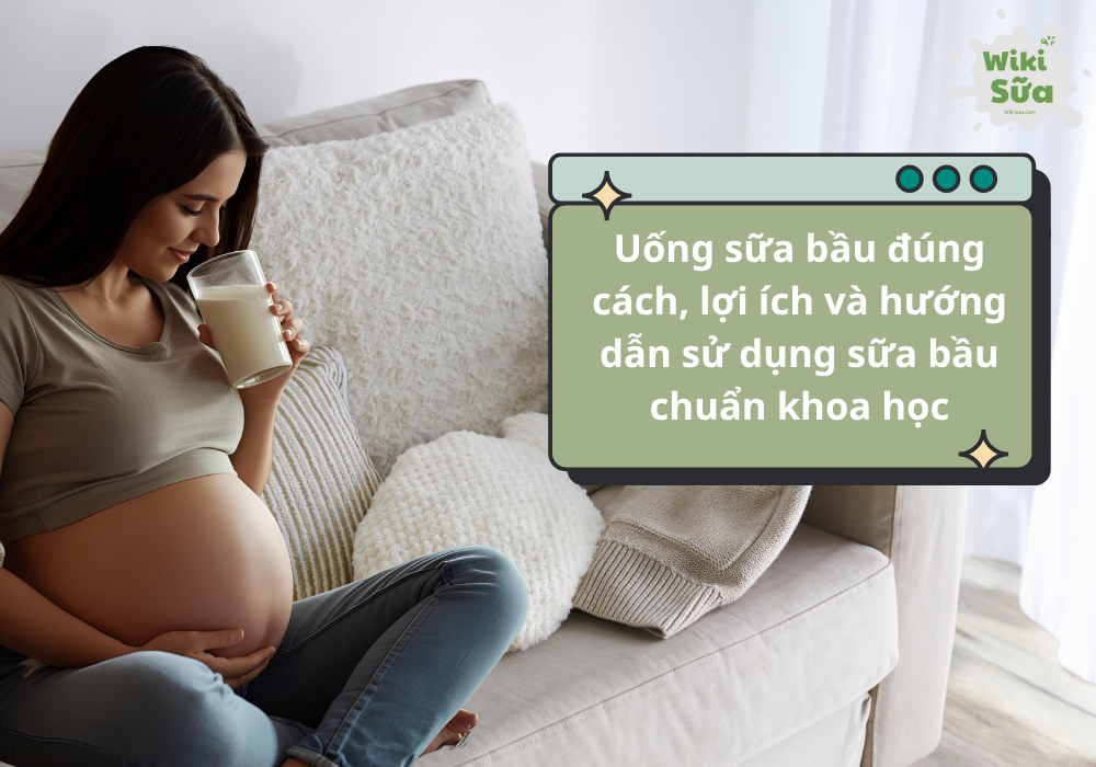 Uống sữa bầu đúng cách, lợi ích và hướng dẫn sử dụng sữa bầu chuẩn khoa học