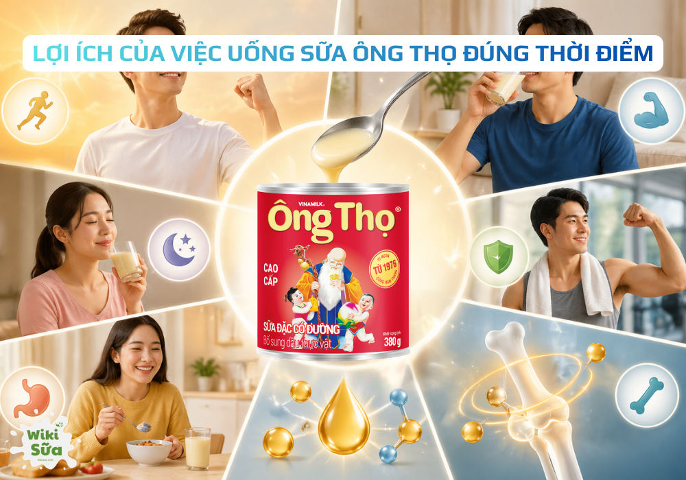 Lợi ích của việc uống sữa Ông Thọ đúng thời điểm