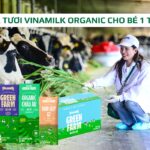 sữa tươi Vinamilk Organic cho bé 1 tuổi