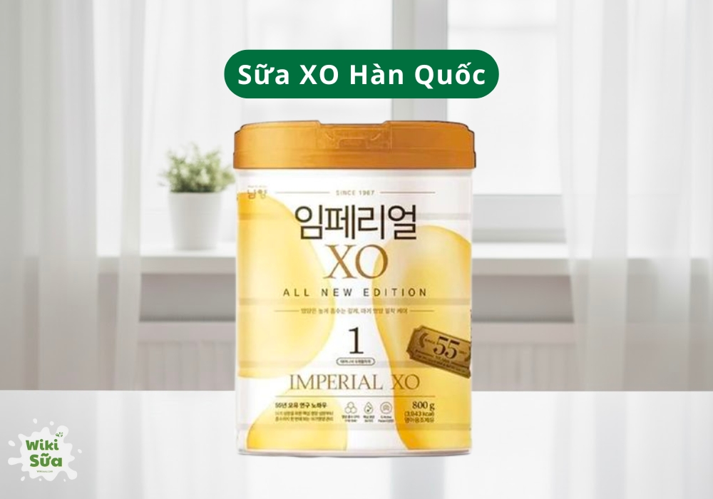 Sữa XO Hàn Quốc hỗ trợ bé tiếp tục tăng trưởng mạnh mẽ trong giai đoạn từ 1–3 tuổi.