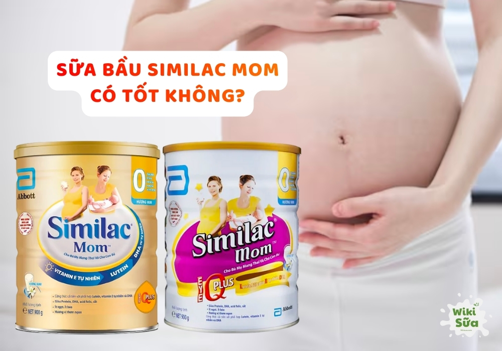 Sữa bầu Similac Mom có tốt không? Có mấy loại? Review chi tiết