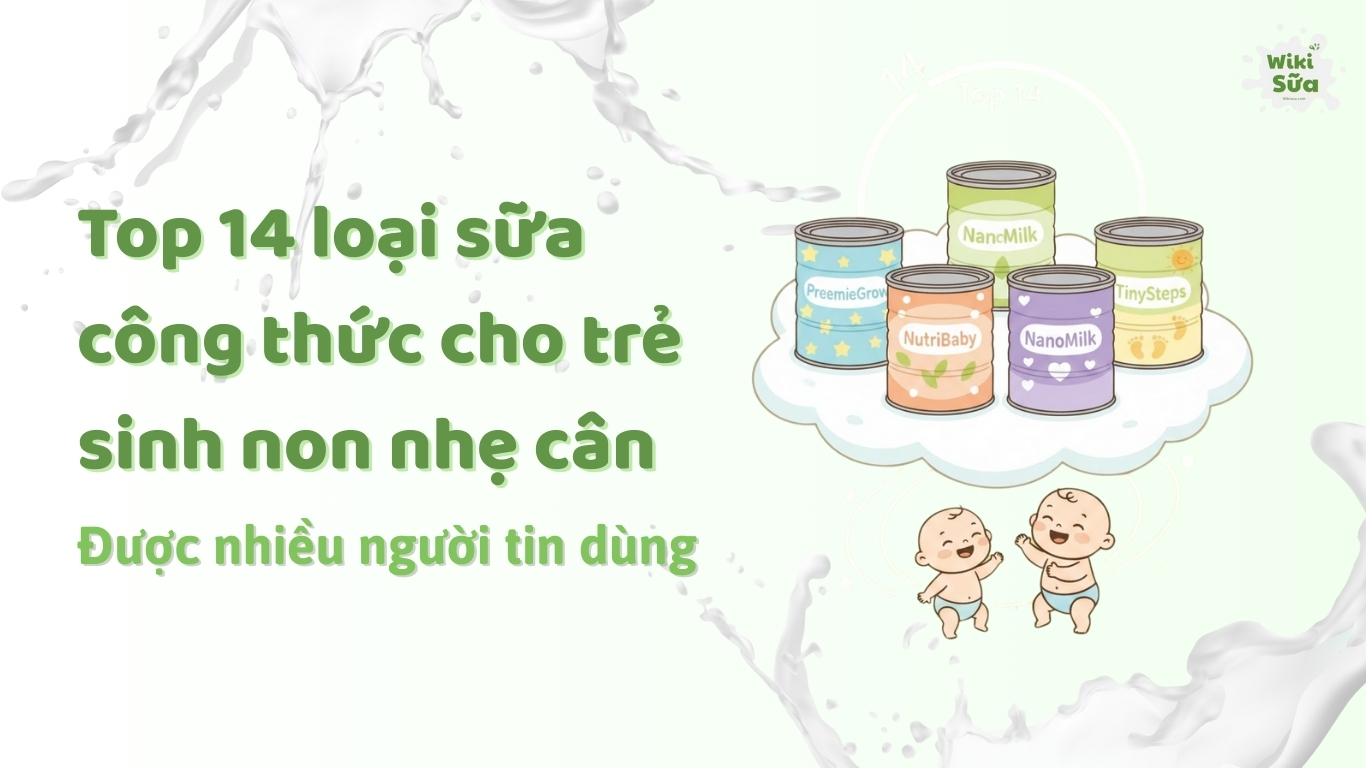 Top 13 loại sữa công thức cho trẻ sinh non nhẹ cân được nhiều người tin dùng