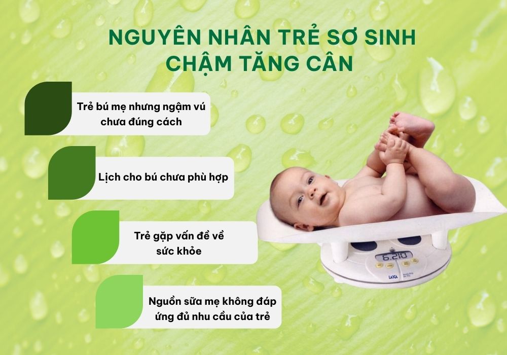 Nguyên nhân trẻ sơ sinh chậm tăng cân 
