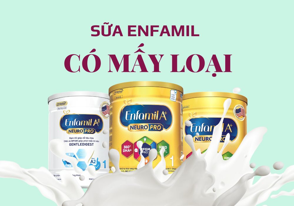sữa enfamil có mấy loại