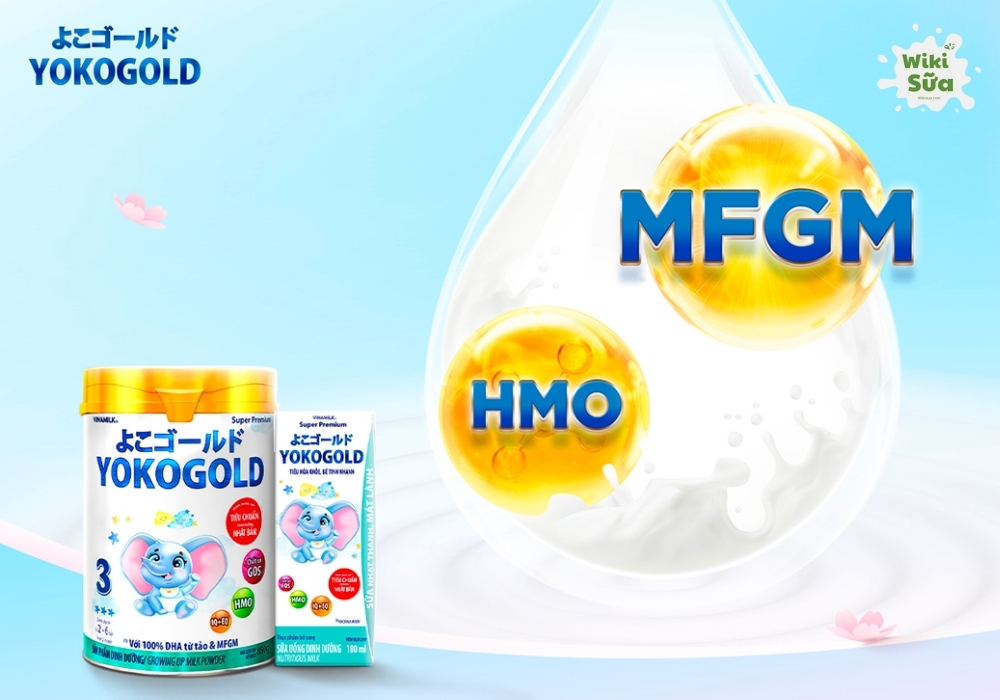 Sữa Yoko Gold là sữa bột giàu dưỡng chất dễ tiêu hóa, giúp bé hấp thu tốt, tăng đề kháng và phát triển não bộ