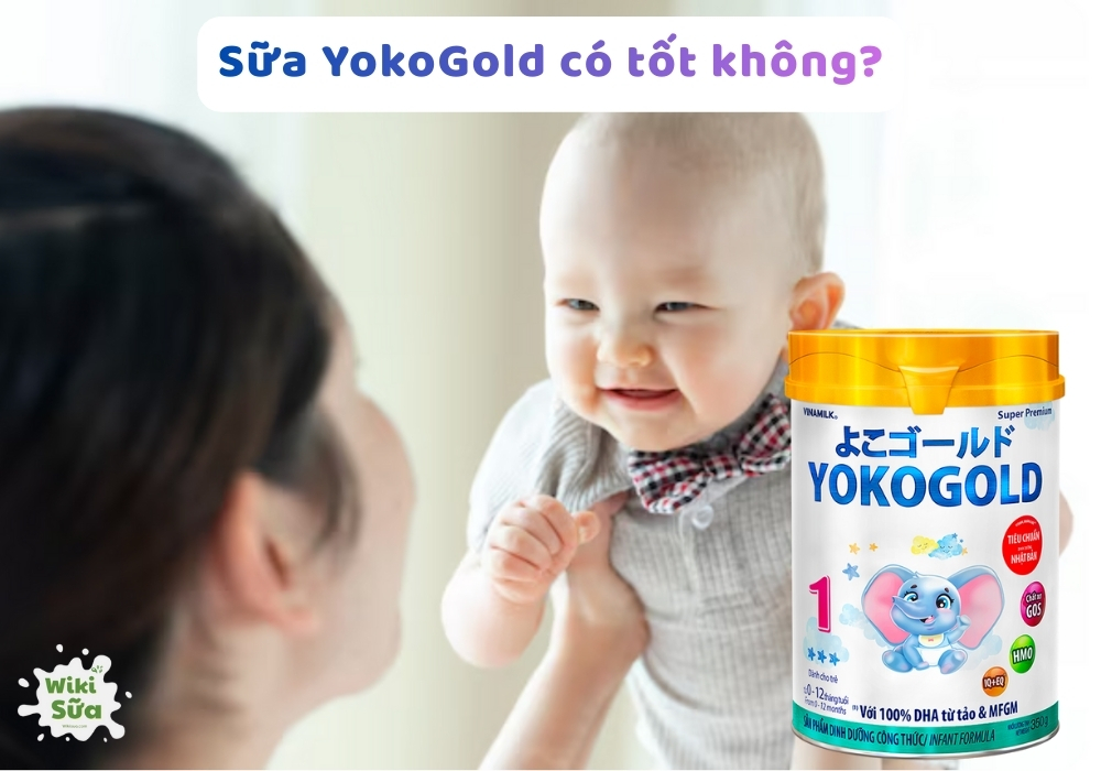 Sữa YokoGold có tốt không? Có tăng cân không? Ưu & nhược điểm