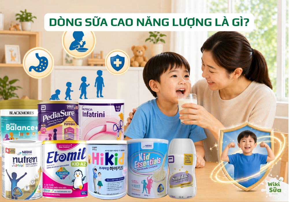 Dòng sữa cao năng lượng