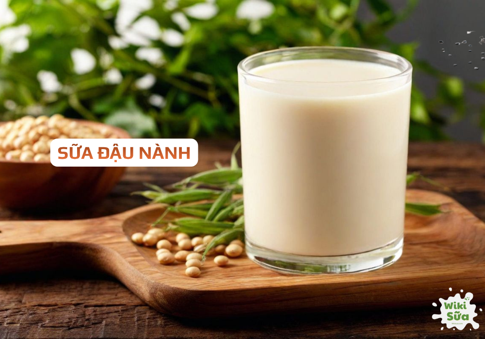 Sữa đậu nành – nguồn đạm thực vật bổ dưỡng