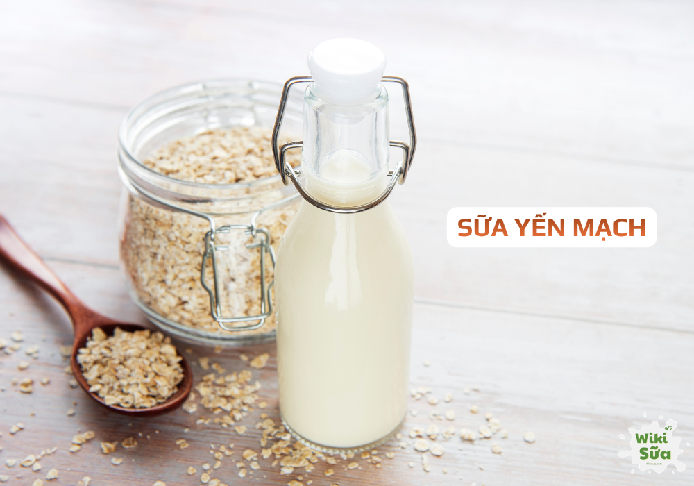 Sữa yến mạch – giàu chất xơ, hỗ trợ tiêu hóa