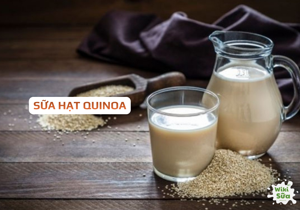 Sữa hạt quinoa – cung cấp protein hoàn chỉnh