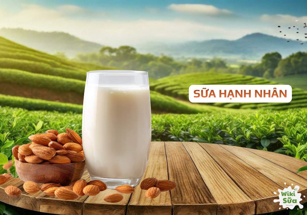 Sữa hạnh nhân – bổ sung canxi và chất béo tốt cho mẹ sau sinh