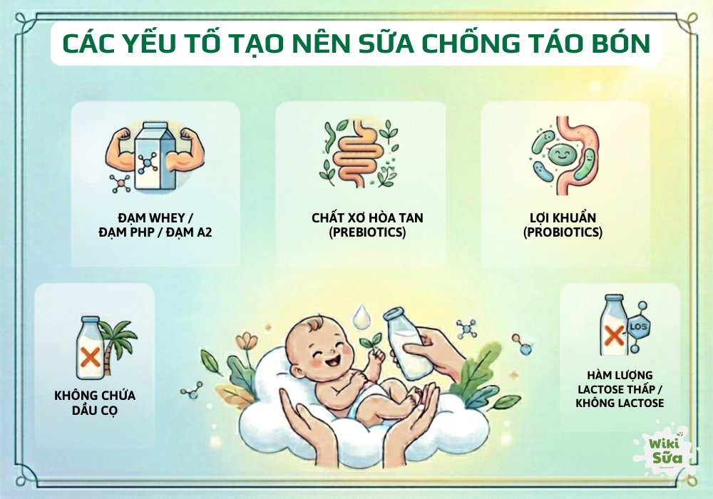 các yếu tố tạo nên sữa chống táo bón