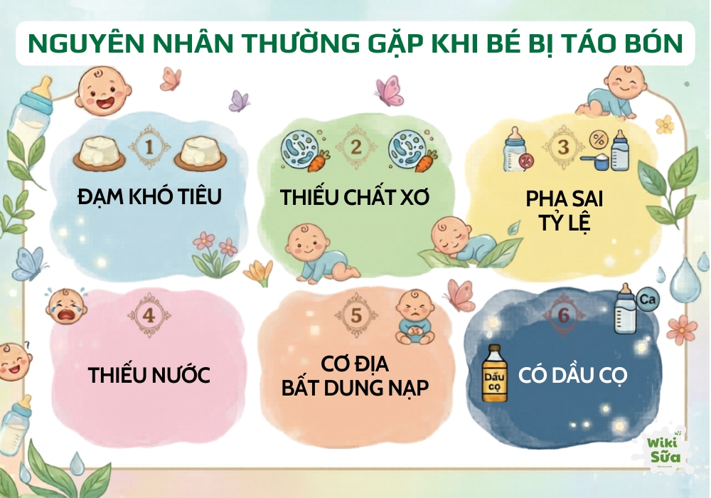 nguyên nhân bé bị táo bón