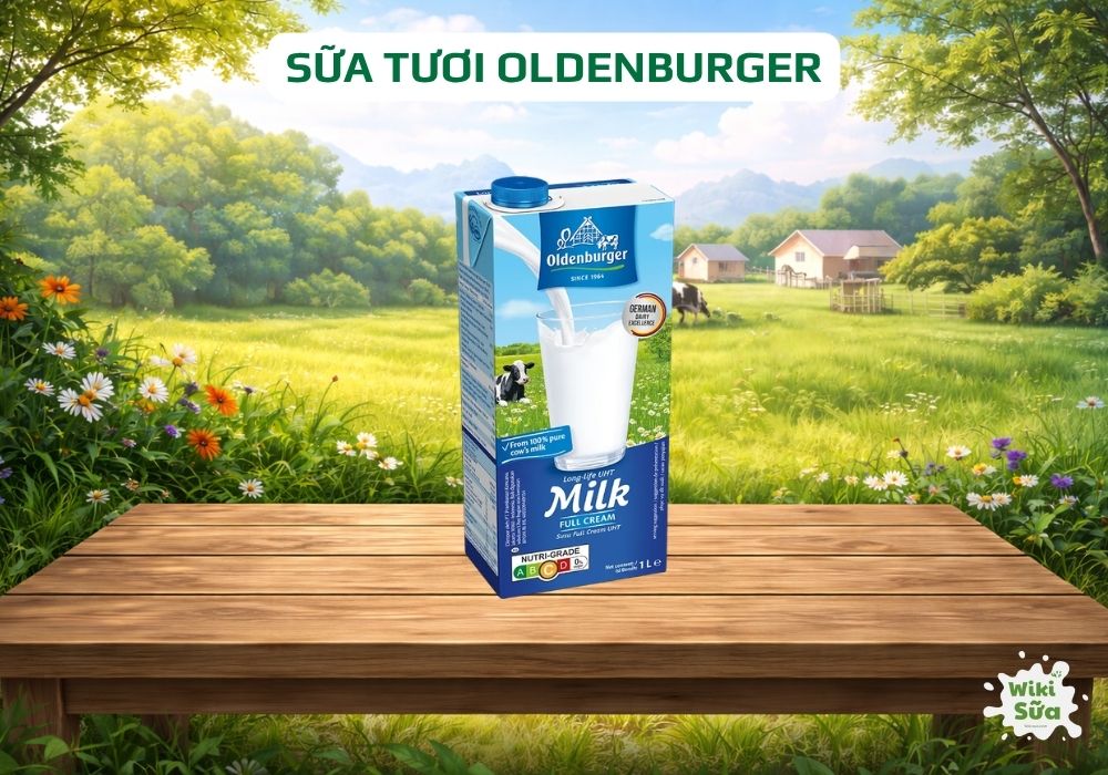 Oldenburger sữa tươi nhập khẩu, cung cấp dưỡng chất thiết yếu