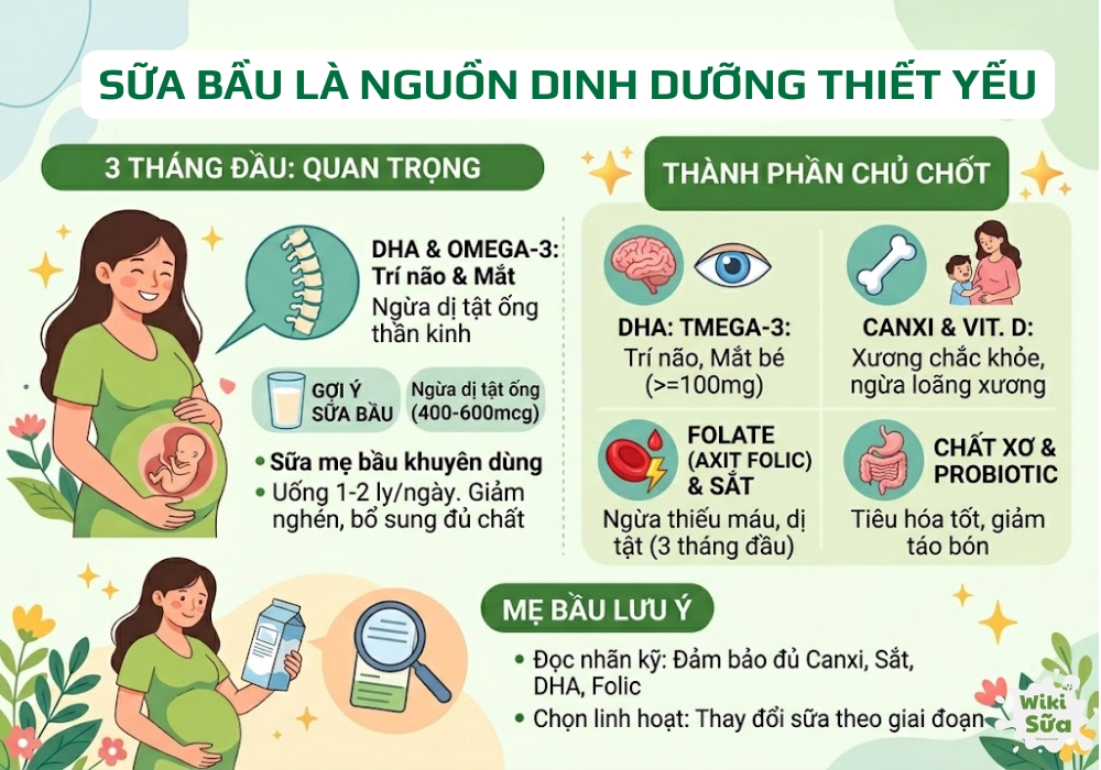Sữa bầu không thể thiếu trong thời kì mang thai