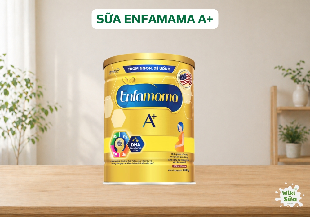Sữa bột Enfamama A+