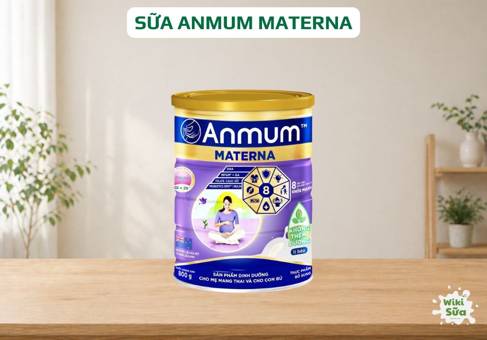 Sữa bột Anmum Materna