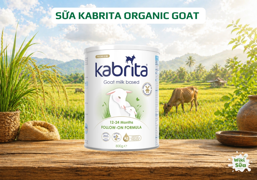 Sữa Kabrita Organic Goat