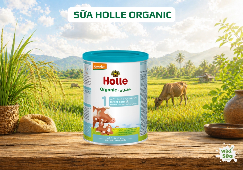 Sữa Sữa Holle Organic