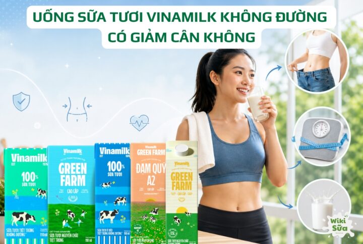 uống sữa tươi vinamilk không đường có giảm cân không